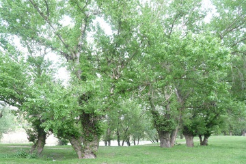 P1050858.jpg