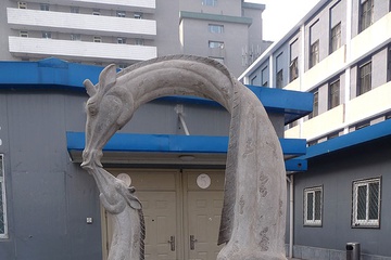 P1000875.jpg