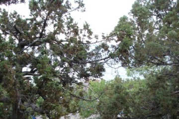 DSC08366.JPG