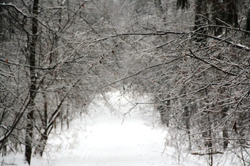 img_3617-1.jpg