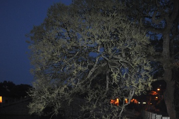DSC_03991.JPG