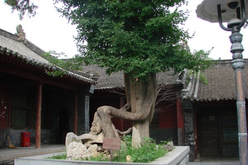 DSC00078.JPG