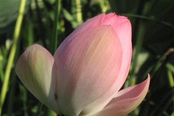 izobrazhenie_113_small.jpg