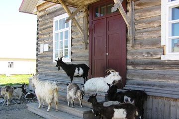 izobrazhenie_524-1.jpg