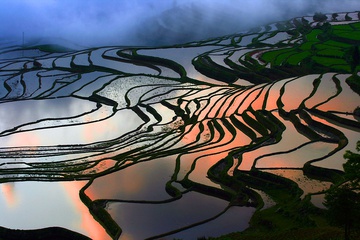 yunnan_rice_fields-7.jpg