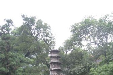 Kitay_2009_-_1_6.JPG