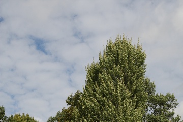 2F3T3623.JPG