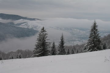 IMG_2286.jpg