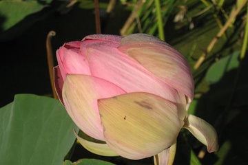 izobrazhenie_027_small.jpg