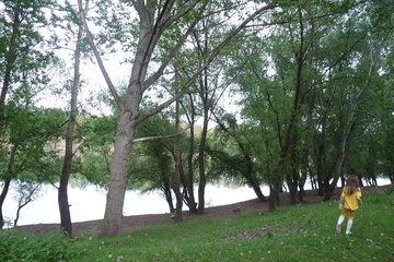 P1050852.jpg