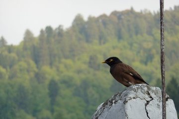 tn_p1000260.jpg
