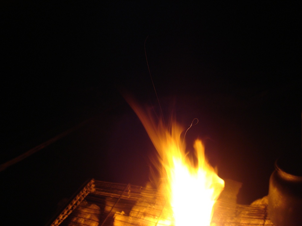 DSC09358.JPG