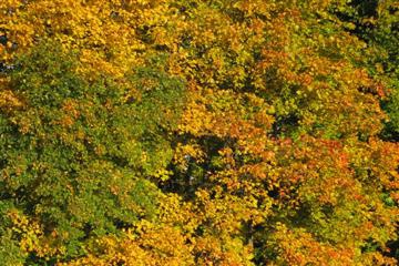 img_1890_small.jpg