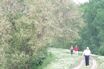 P1050880.jpg