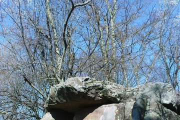 DSC02365.JPG
