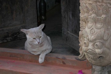 DSCN5180.JPG