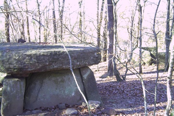 PICT0038.JPG