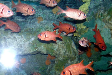 P1000457.JPG