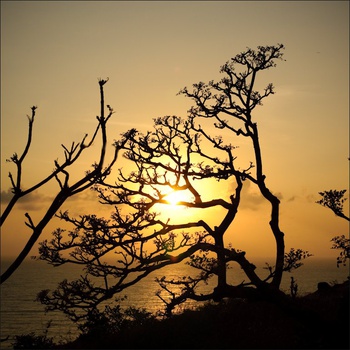 Природа Гоа