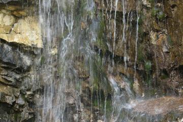 img_8444_sayani_small.jpg