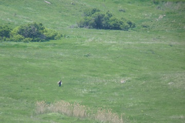 P1020037.JPG