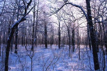 DSC_0155_1.jpg