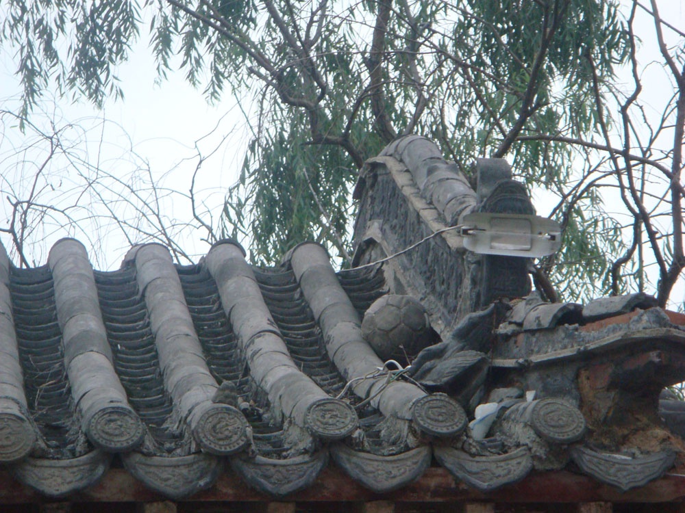dsc06234.jpg