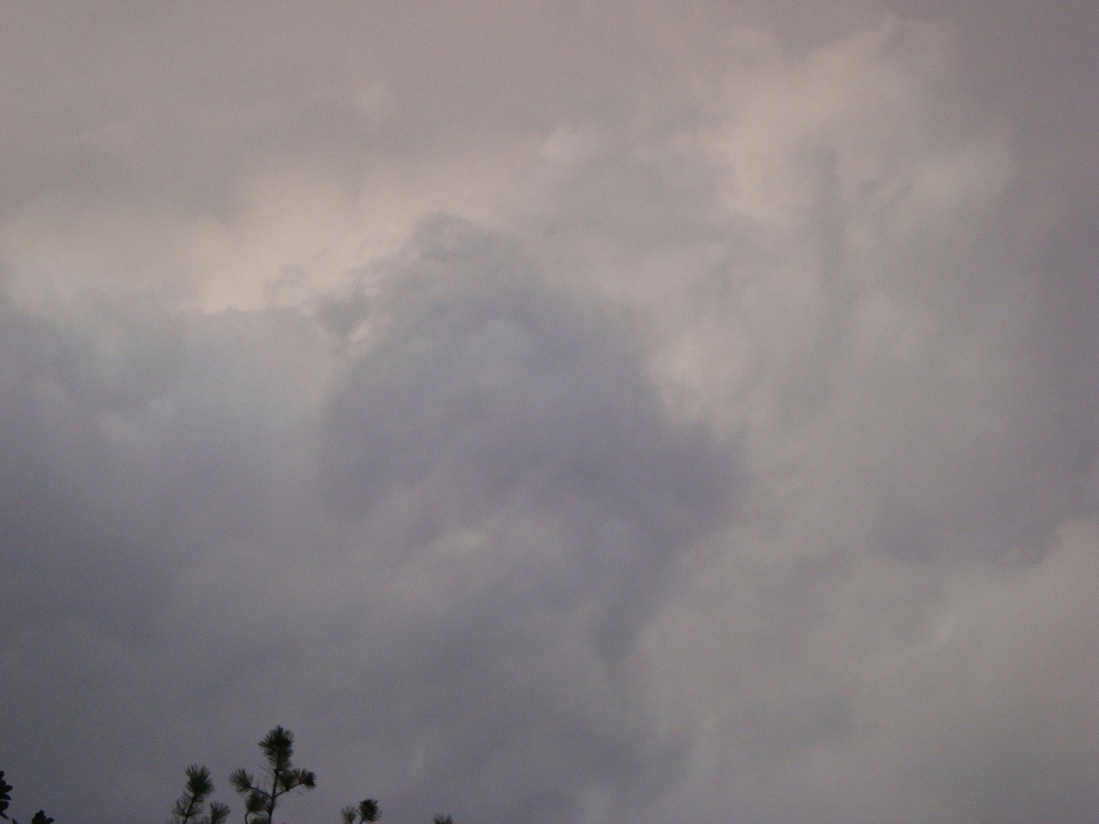 DSC08467.JPG