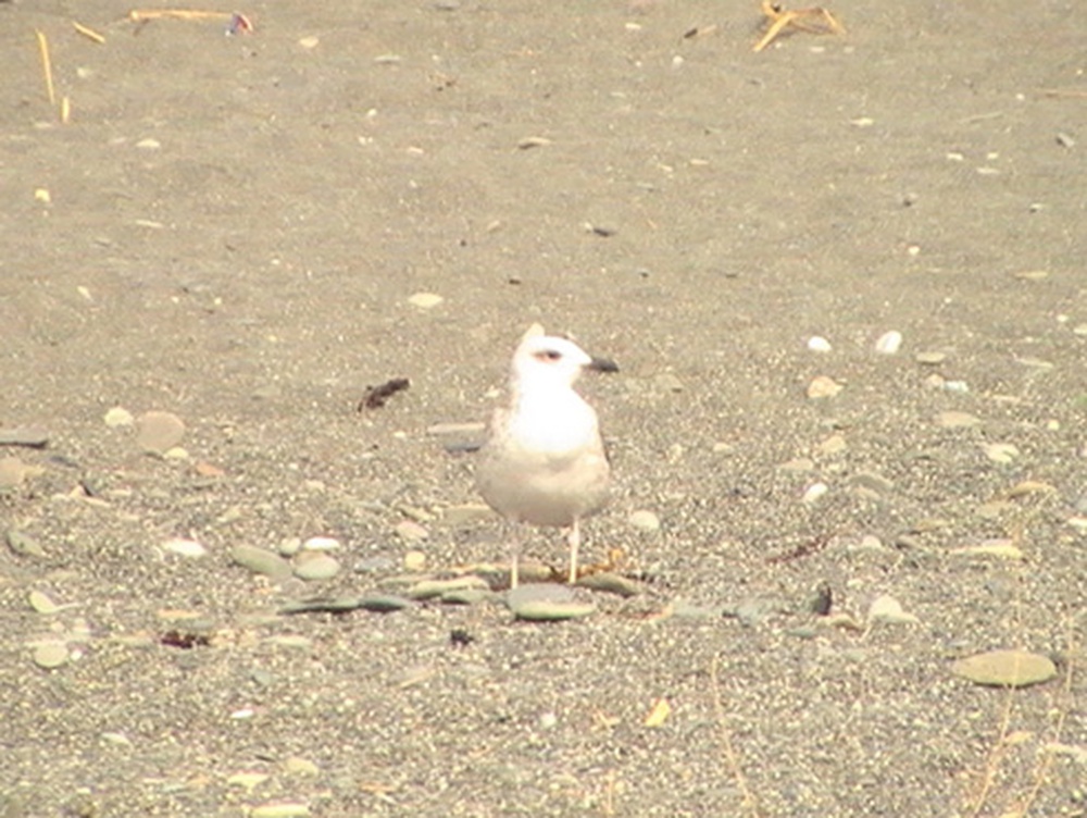 PIC_0059.jpg