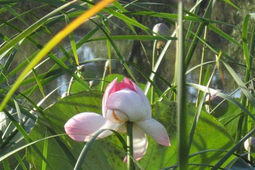 izobrazhenie_002_small.jpg