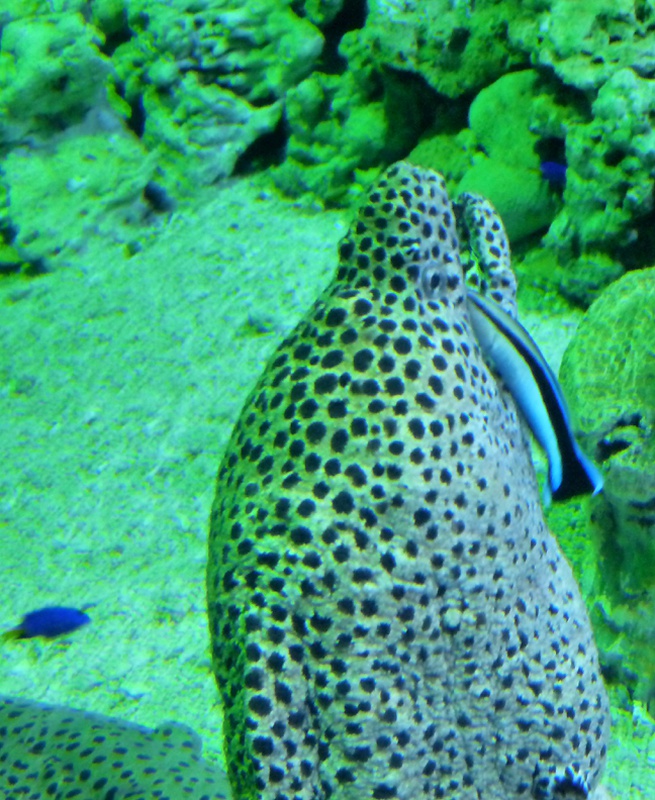 P1000451.JPG