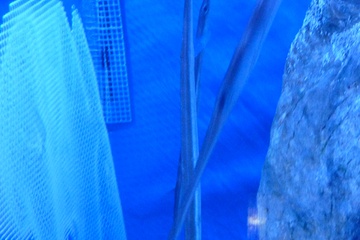 P1000389.JPG
