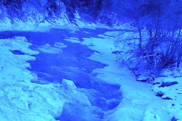 PICT0230.JPG