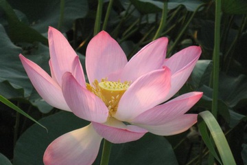 izobrazhenie_046_small.jpg