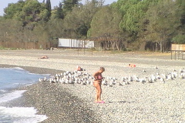 PIC_0072.jpg