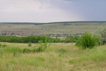 dscn3498.jpg