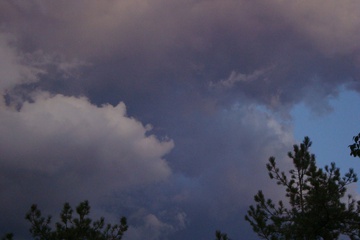 DSC08471.JPG