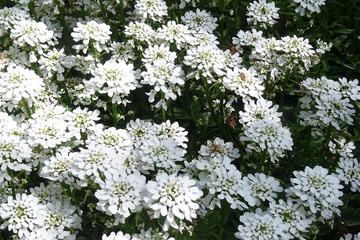 P1050830.JPG