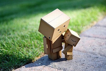 danboard_30.jpg