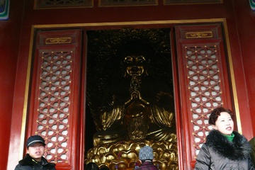 p1100629.jpg
