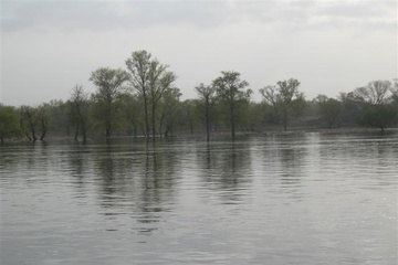 izobrazhenie_002_small.jpg