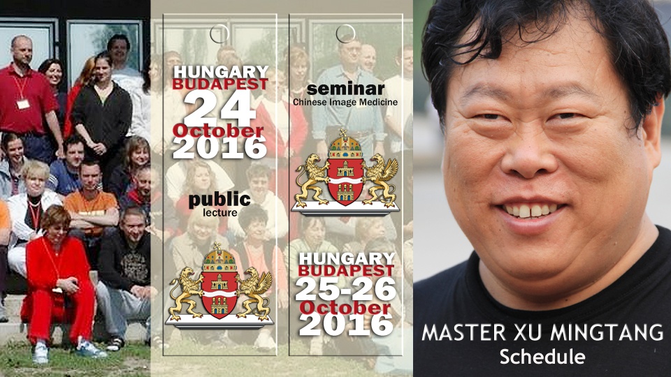 International Chinese Image Medicine Seminar and Public Lecture with Grandmaster Xu Mingtang in Budapest, Hungary. October 24 – 27, 2016.