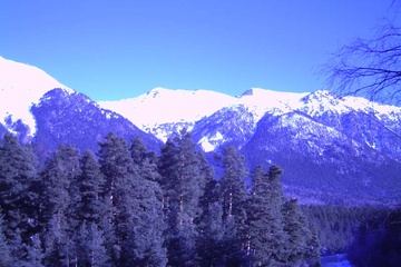 PICT0011.JPG