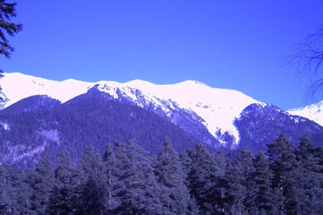 PICT0012.JPG