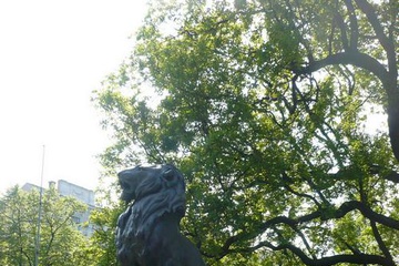 P1100385_1.jpg