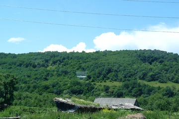 P1020327.JPG