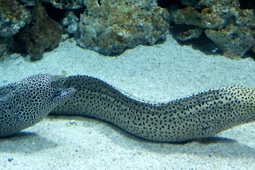 P1000443.JPG