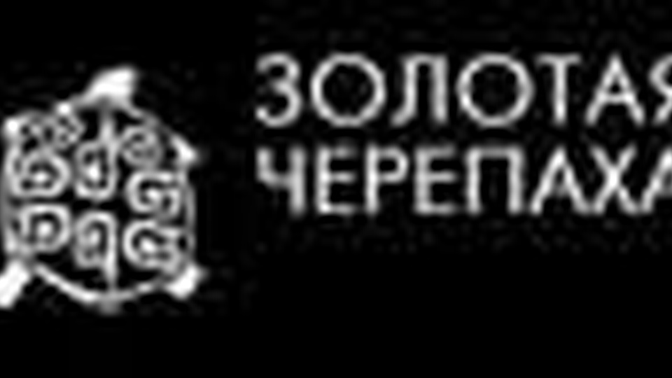  Выставка "Золотая черепаха" с 11 по 27 марта 2011 года в Новом Манеже.