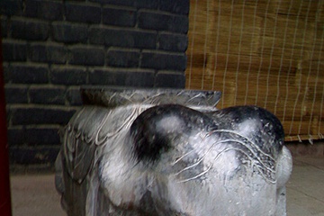 05092007433.jpg