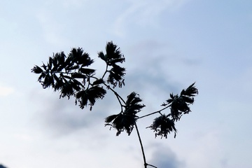 P1040109.JPG